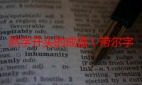 然字开头的成语（带尔字开头的成语）